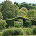 Archway through a beech hedge