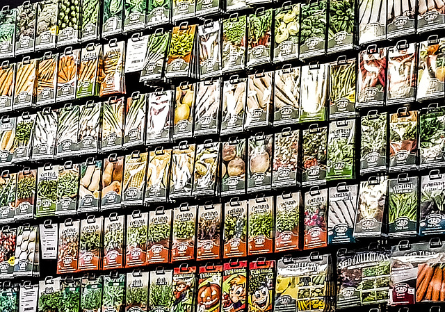 Seed packets in Oxford
