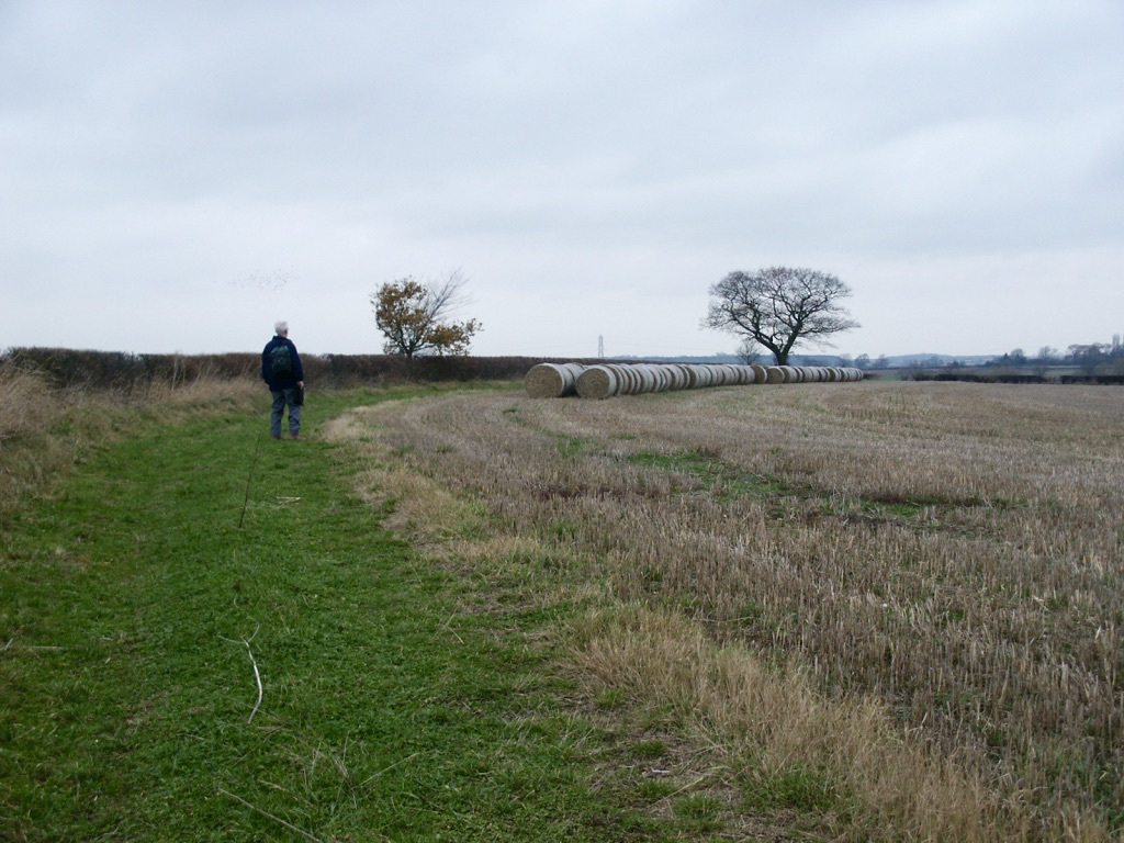 Fields near Odd House Farm