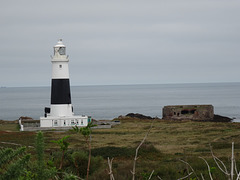 aysep2019lh (1001)