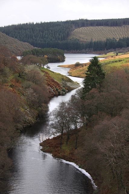 view from Craig-goch dam