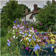 Canalside Cottage