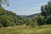 IMG 4173