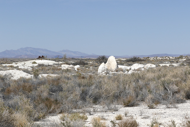 Ash Meadows National Wildlife Refuge