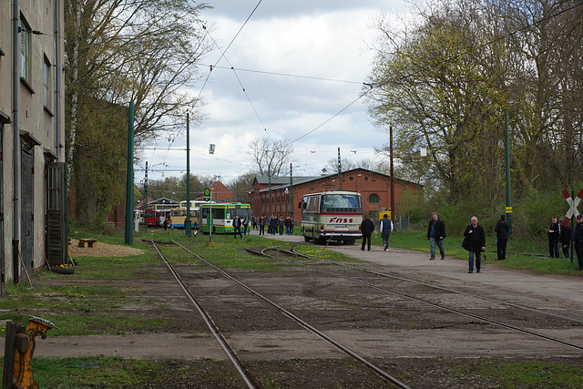 Omnibustreffen Hannover 2016 302