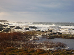 Moutmarka, spring tide