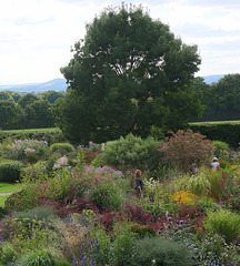 Lovely garden with a view of the South Downs