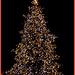 Joyeux Noël, Merry Christmas