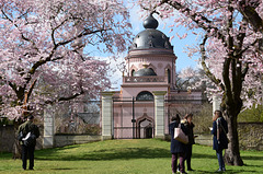 Schwetzingen - Kirschgarten mit Moschee