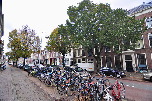 Leiden – Hooigracht