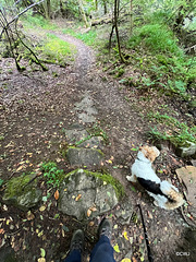 Steep track for anglers down to The River Findhorn