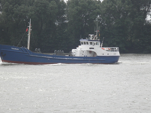 TAURUS