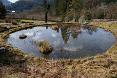 Pond At Donich Lodge