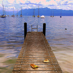 Morges (Suisse) - Lac Léman