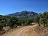 Silver Peak & Mount Sceloporus