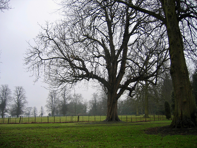 Grounds of Caldecote Hall.