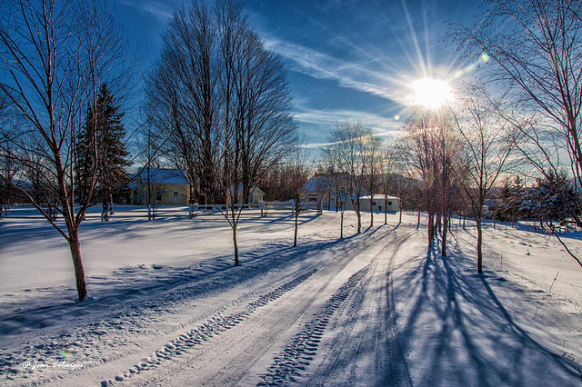 Winter's wonder