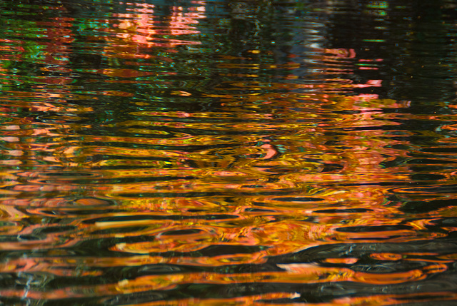 Autumn Reflections 6