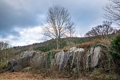 Welsh landscapes35