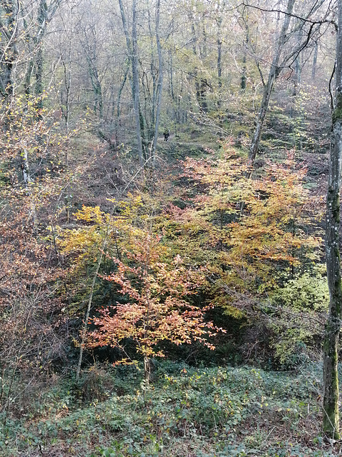 Couleurs d automne !