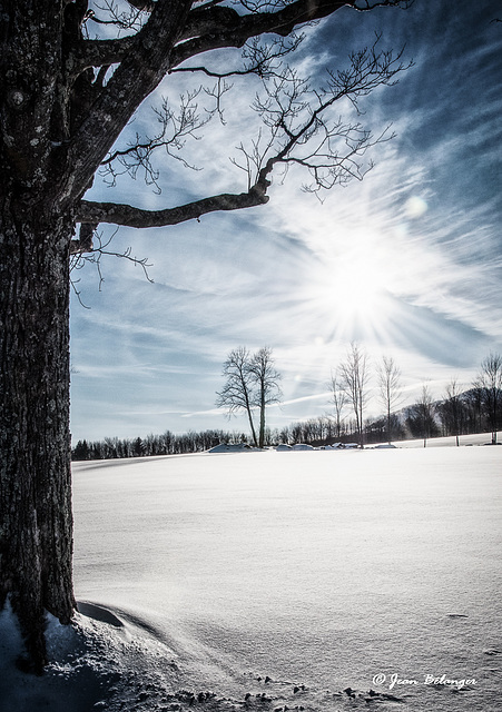 C'est beau l'hiver