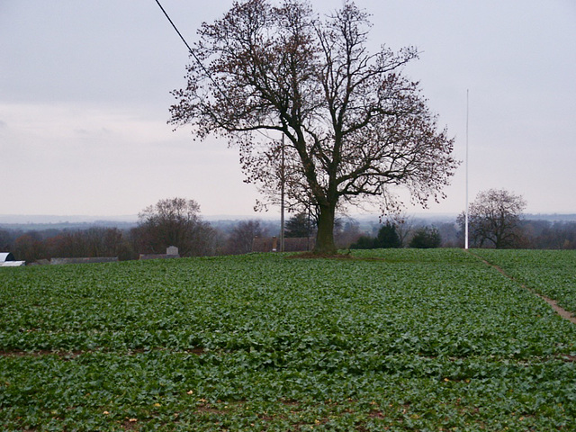 Site of the Battle of Bosworth Field fought in 1485
