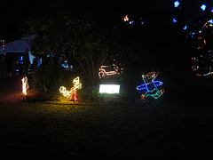 Christmas Lights Tmba Lions 2019 5937