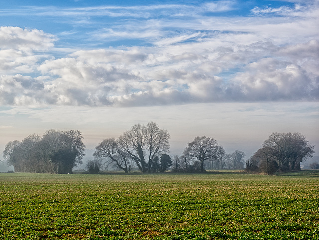 Winter Sunshine