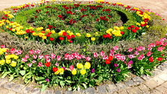 DE - Kerpen - Blumen an Burg Bergerhausen