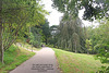 Alexandra Park Hastings - the upper path on the south west side 12 8 2023