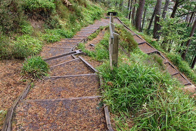 Hairpin Steps, HFF