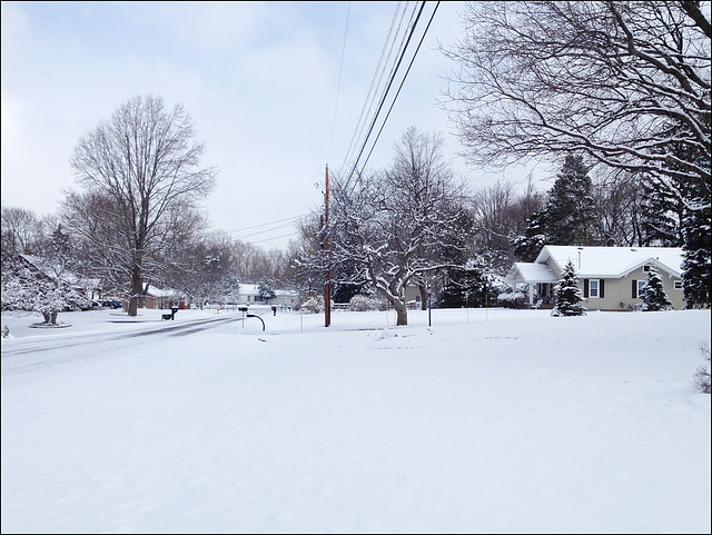 Winter morning