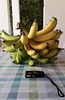 Bananas from the Algarve.