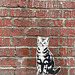 Top Cat