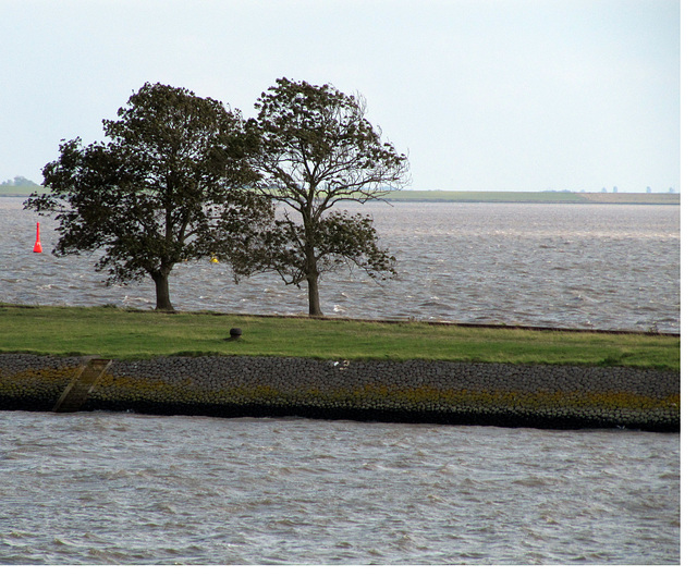 Auf dem Weg nach Borkum