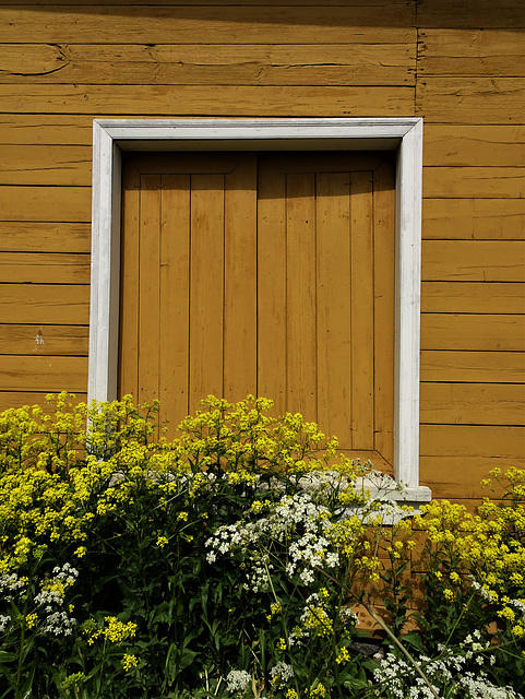 Van Gogh's colours, Suomenlinna