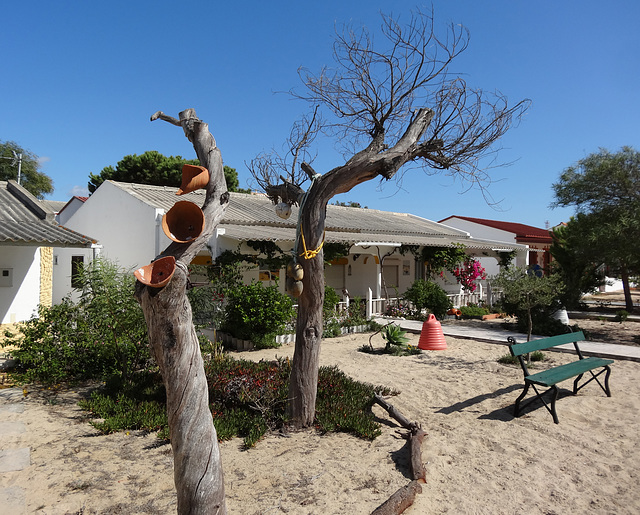 Picturesque houses on the llha de Armona