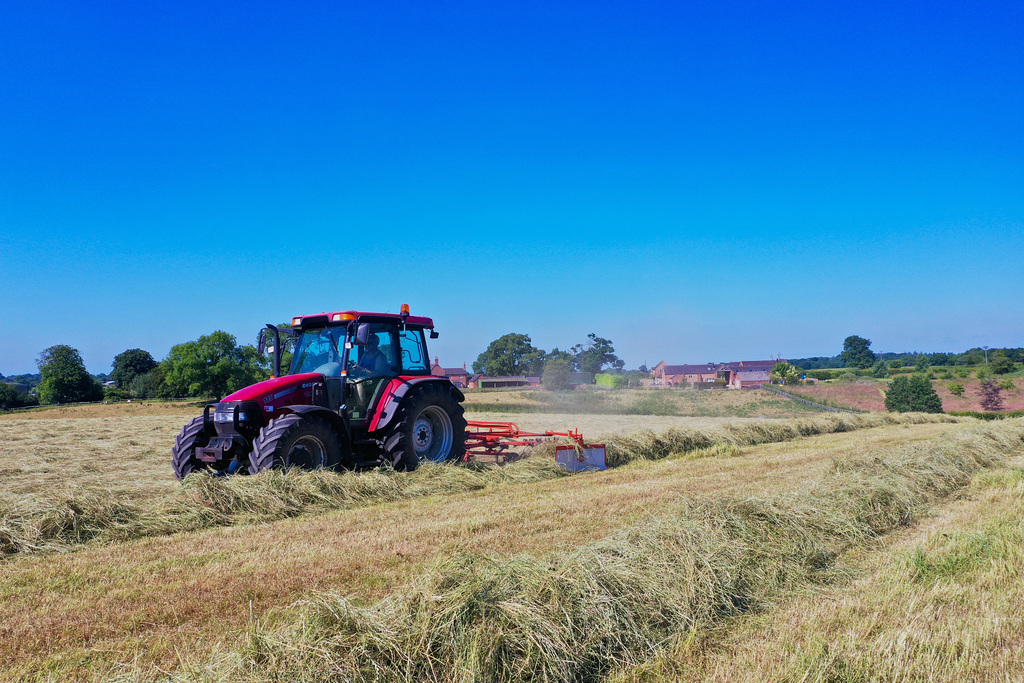 Make hay while the sun shines