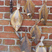 Drying fish Drying fish