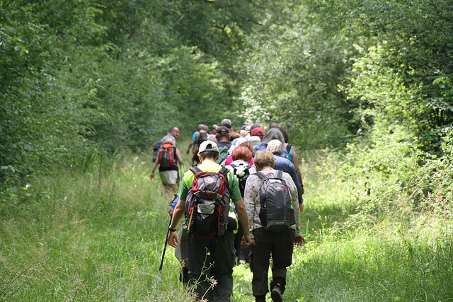 Randonnée Bombon-La Chapelle Gauthier-Bombon  - 20/06/2015