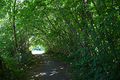 Tunnel Tunnel