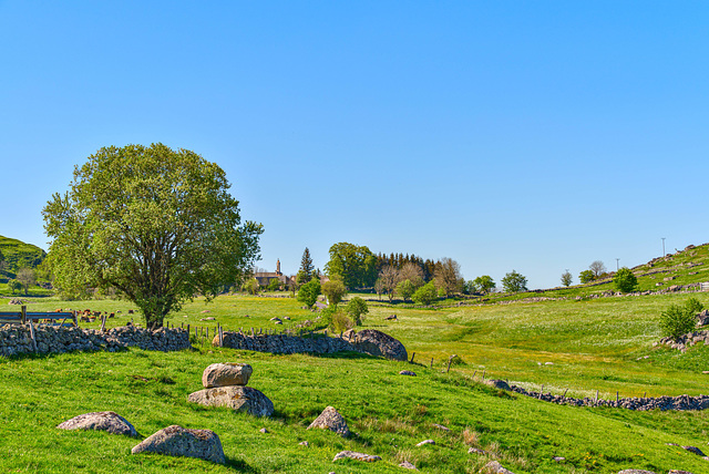 Balade en Lozere