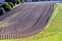 HFF from field adjacent to the M25 near CSP