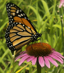 20250731 122900(1)(1)