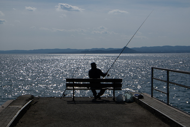 Fishing in the Sun