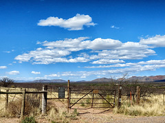 San Pedro Riparian National Conservation Area