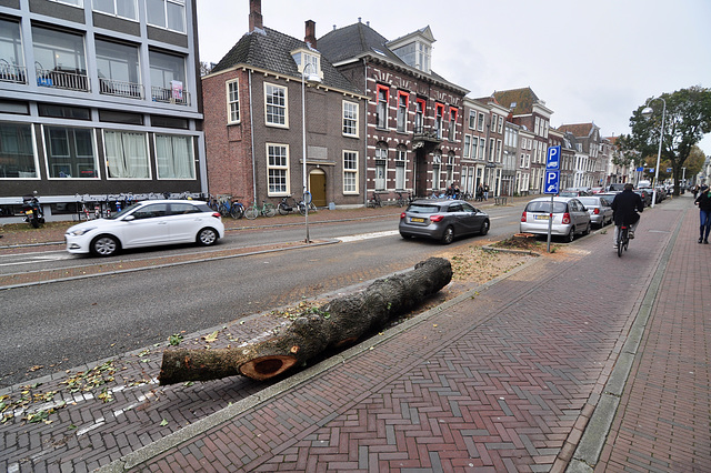 Leiden – Hooigracht