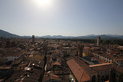Blick vom Torre Guinigi