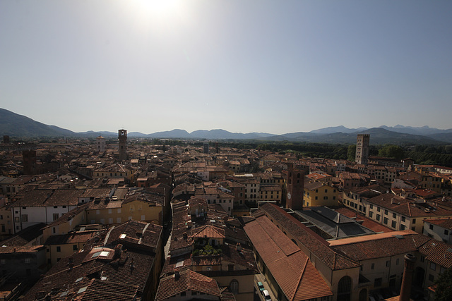 Blick vom Torre Guinigi