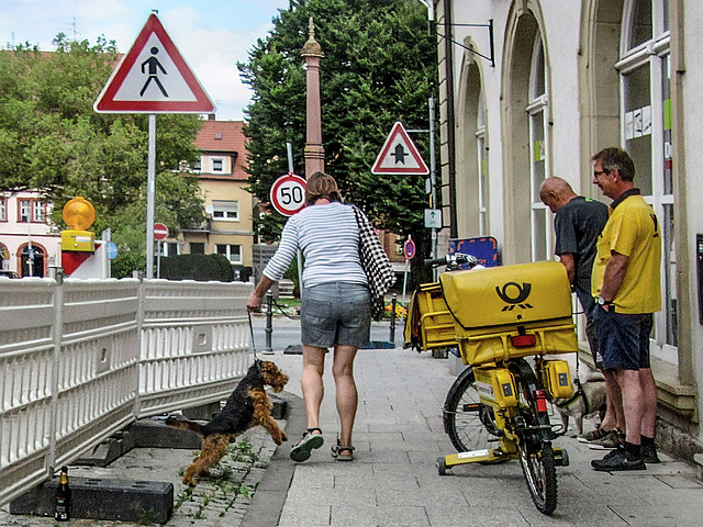 sie werden nie Freunde